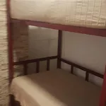 بيت شباب Joy *